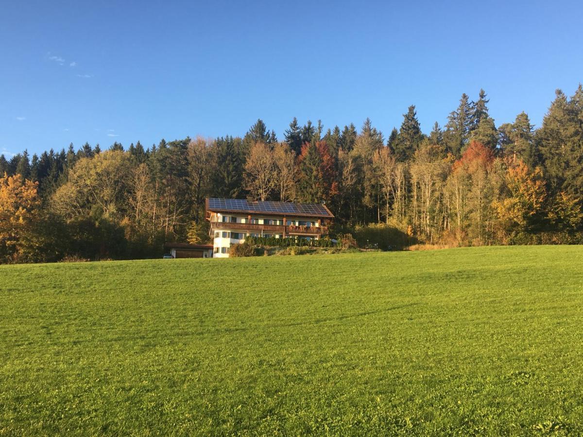 Ferienhaus Am Wald Apartment Friesenried Bagian luar foto