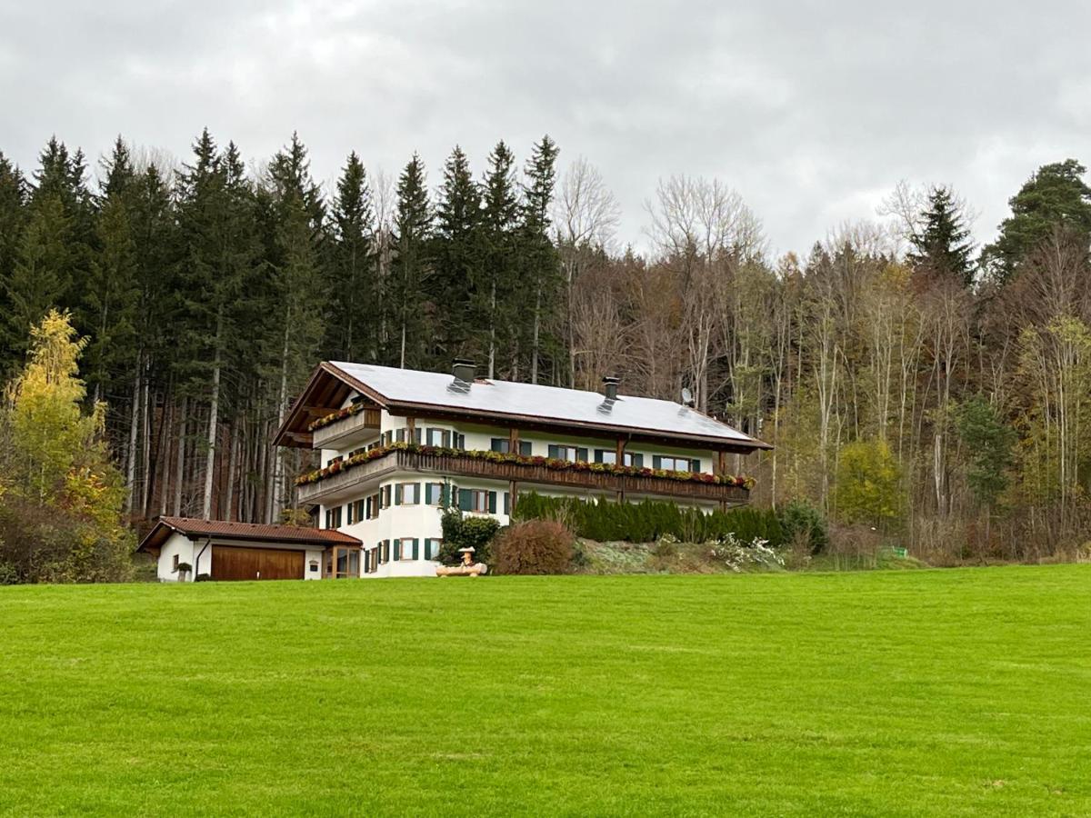 Ferienhaus Am Wald Apartment Friesenried Bagian luar foto
