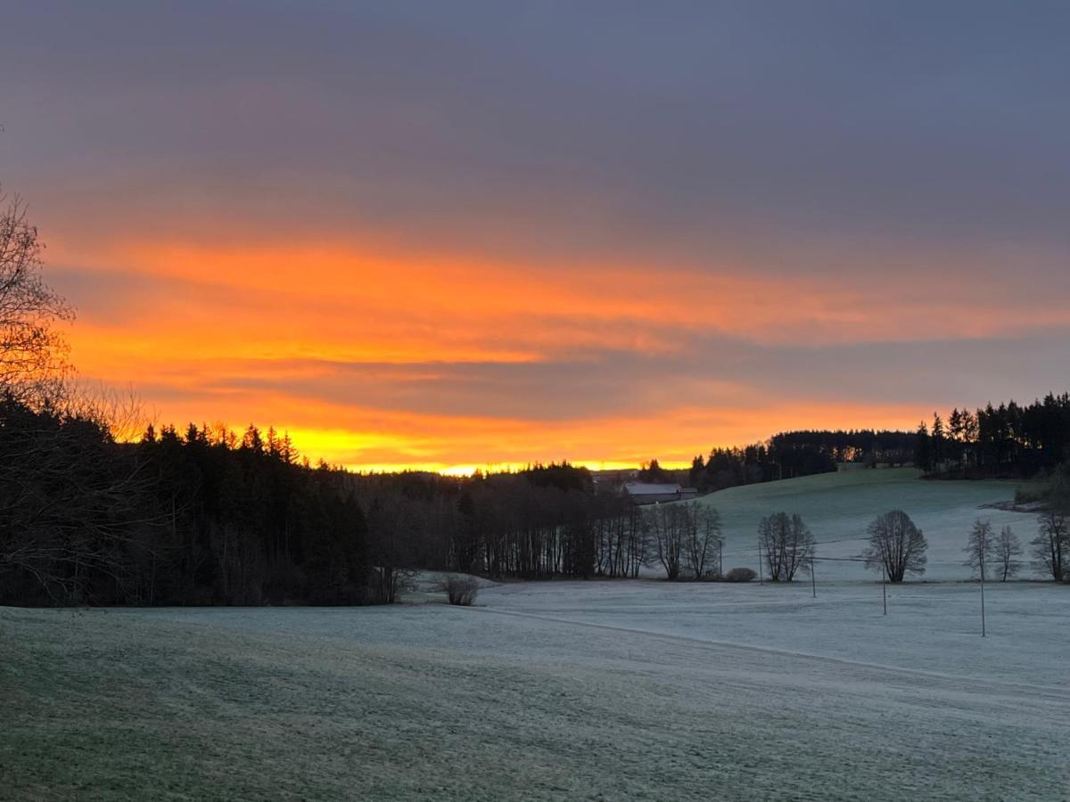 Ferienhaus Am Wald Apartment Friesenried Bagian luar foto