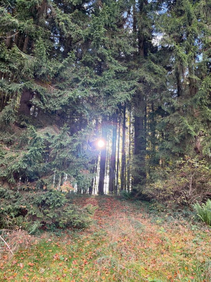 Ferienhaus Am Wald Apartment Friesenried Bagian luar foto