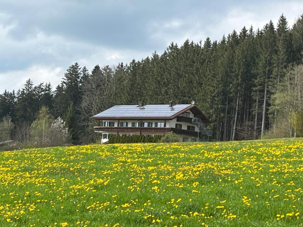 Ferienhaus Am Wald Apartment Friesenried Bagian luar foto
