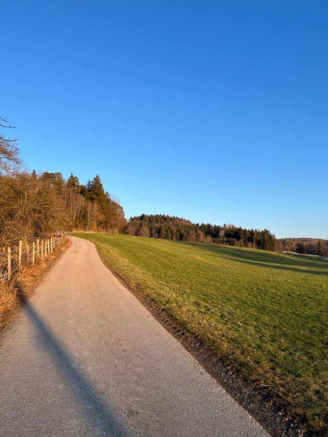 Ferienhaus Am Wald Apartment Friesenried Bagian luar foto