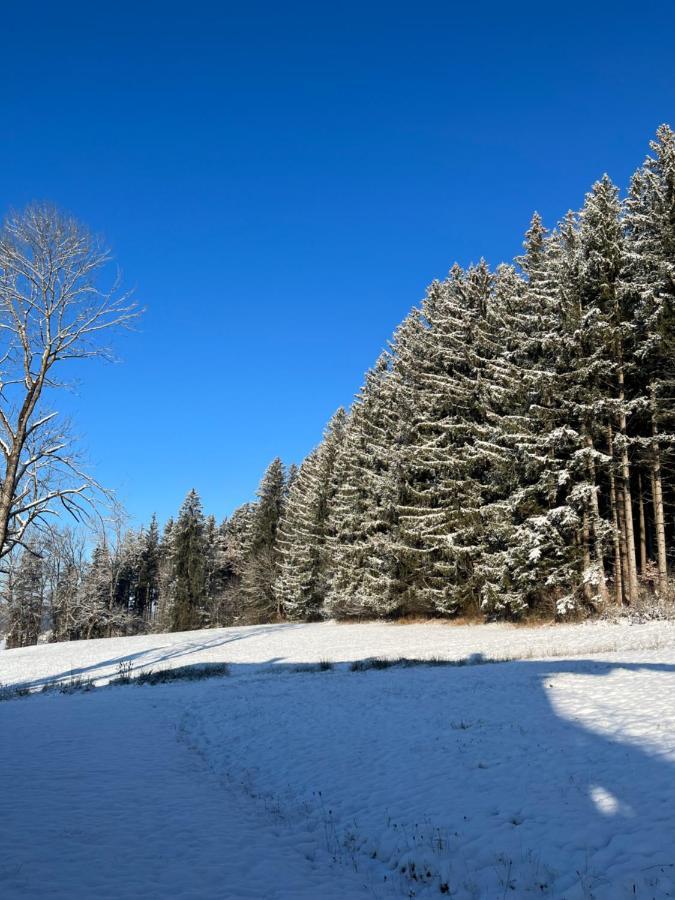 Ferienhaus Am Wald Apartment Friesenried Bagian luar foto